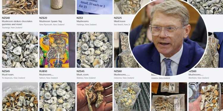 Justice Minister criticises Meta over drug ads on Facebook Marketplace Justice Minister criticises Meta over drug ads on Facebook Marketplace