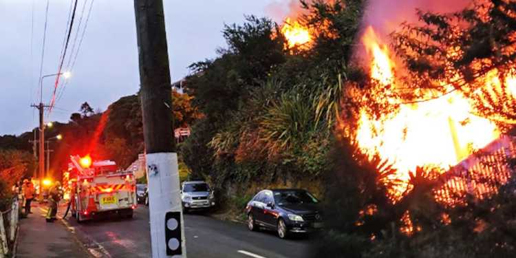 Blaze spreads to three Lyttelton homes, residents evacuated, fears for pet Blaze spreads to three Lyttelton homes, residents evacuated, fears for pet