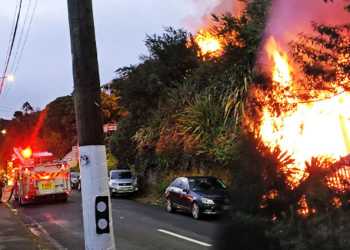 Blaze spreads to three Lyttelton homes, residents evacuated, fears for pet Blaze spreads to three Lyttelton homes, residents evacuated, fears for pet