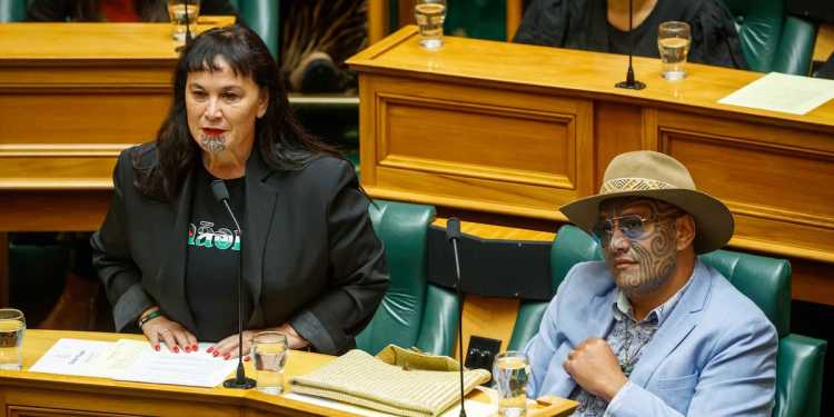 Te Pāti Māori Plans for 2026 General Election Te Pāti Māori Plans for 2026 General Election