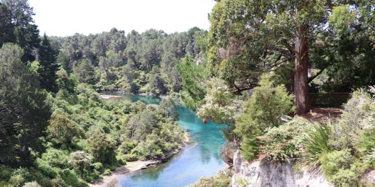 Teananga Tiotia identified as missing swimmer in Waikato River Teananga Tiotia identified as missing swimmer in Waikato River