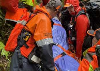 Elderly hiker rescued after 12-hour operation in Kauaeranga Valley Elderly hiker rescued after 12-hour operation in Kauaeranga Valley