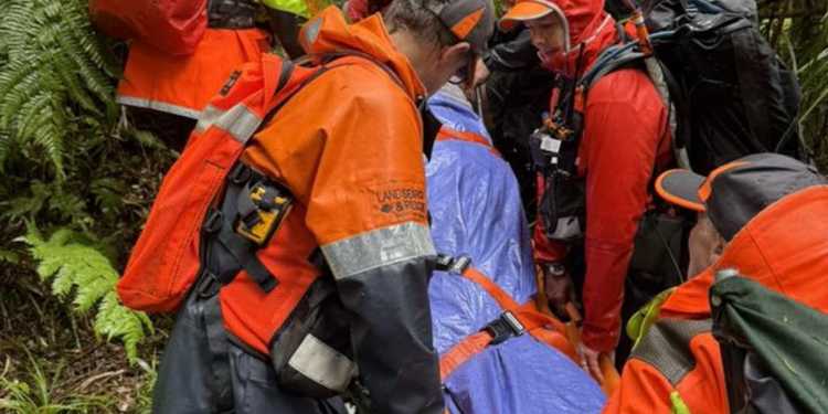 Elderly hiker rescued after 12-hour operation in Kauaeranga Valley Elderly hiker rescued after 12-hour operation in Kauaeranga Valley