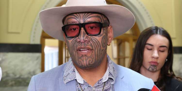 Labour MP Shanan Halbert Criticizes Te Pāti Māori’s Actions Labour MP Shanan Halbert Criticizes Te Pāti Māori’s Actions