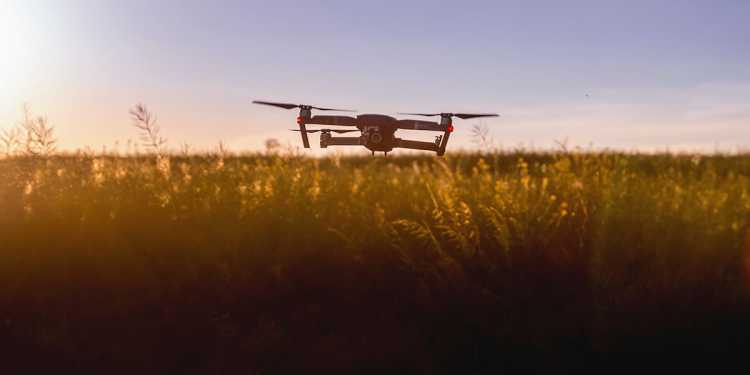 Duck hunter allegedly shoots down drone: Canterbury animal activist says flight was legal Duck hunter allegedly shoots down drone: Canterbury animal activist says flight was legal