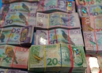 Meth mum sentenced: Auckland businesswoman Fei Wei was ‘face’ of Chinese syndicate’s NZ operation Meth mum sentenced: Auckland businesswoman Fei Wei was ‘face’ of Chinese syndicate’s NZ operation