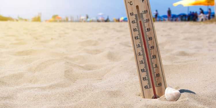 MetService May Issue Heat Alerts for New Zealand MetService May Issue Heat Alerts for New Zealand