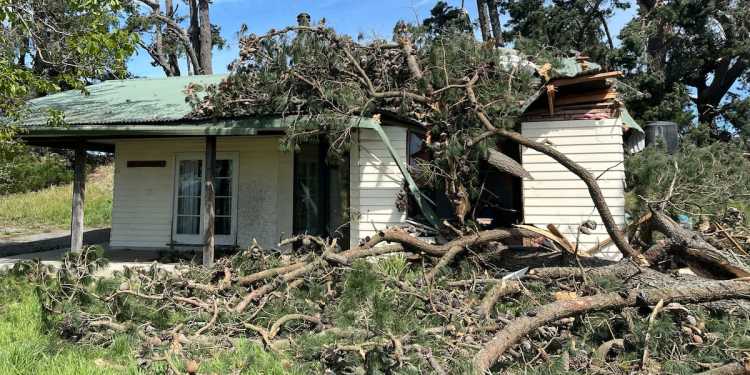 North Canterbury Farmers Start Clean-Up After Storm North Canterbury Farmers Start Clean-Up After Storm