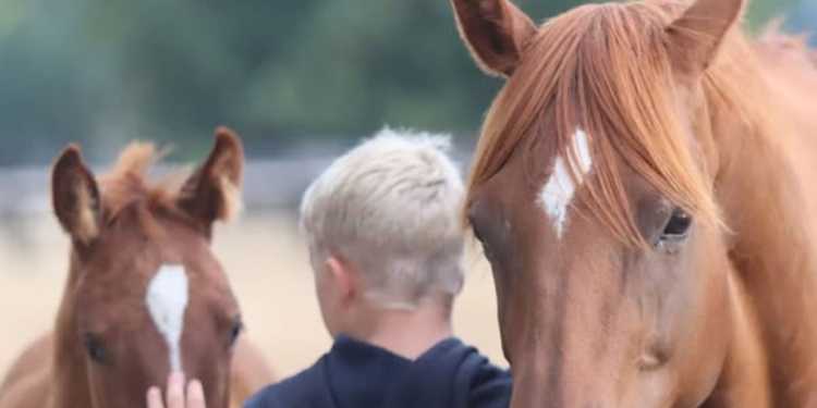 Waikato ATV fatal crash: Family creates Givealittle to raise money for emergency services Waikato ATV fatal crash: Family creates Givealittle to raise money for emergency services