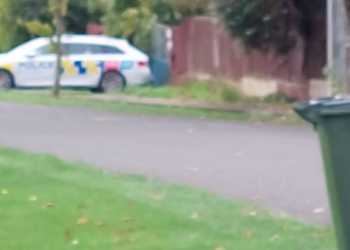 Police probe unexplained death in Feilding at home of elderly woman and son Police probe unexplained death in Feilding at home of elderly woman and son