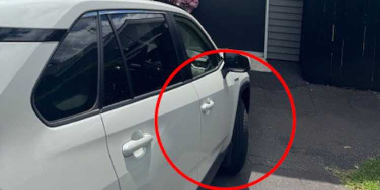 Auckland Transport fines Mount Albert resident for parking issue Auckland Transport fines Mount Albert resident for parking issue