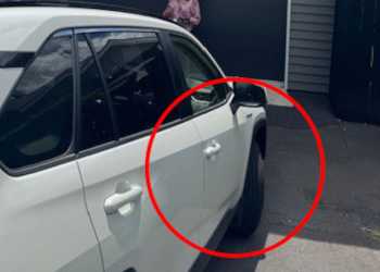 Auckland Transport fines Mount Albert resident for parking issue Auckland Transport fines Mount Albert resident for parking issue