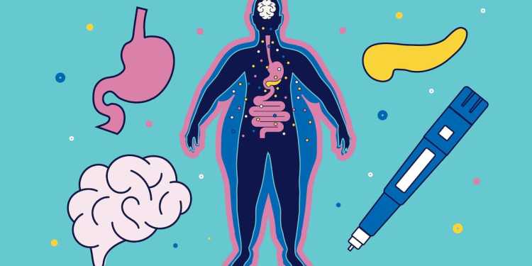 GLP-1 Weight Loss Drugs in New Zealand: Benefits and Risks GLP-1 Weight Loss Drugs in New Zealand: Benefits and Risks