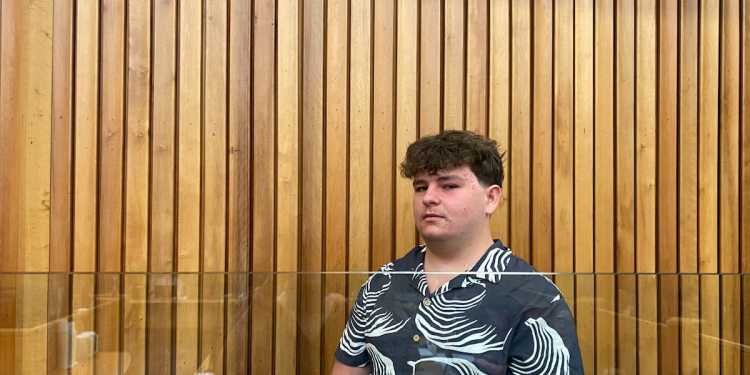 Tauranga assault case: Man pleads guilty to attacks, harmful posts Tauranga assault case: Man pleads guilty to attacks, harmful posts