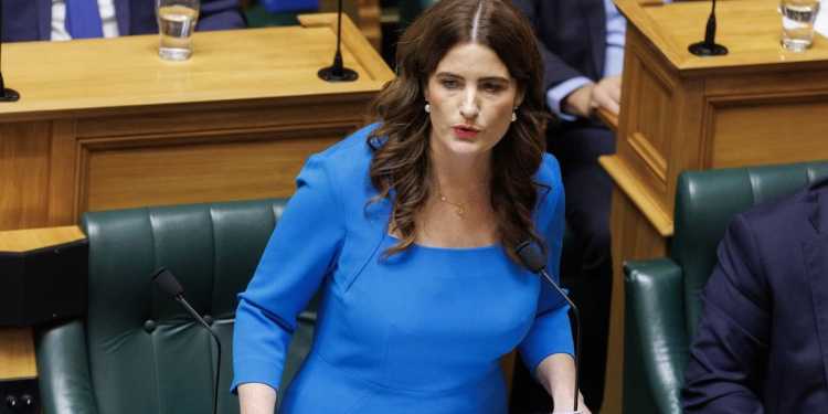 Finance Minister Nicola Willis criticised for wearing UK dress on Budget day Finance Minister Nicola Willis criticised for wearing UK dress on Budget day