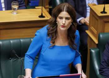 Finance Minister Nicola Willis criticised for wearing UK dress on Budget day Finance Minister Nicola Willis criticised for wearing UK dress on Budget day