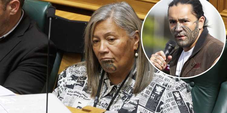 Te Pāti Māori Informs Members of Allegations Against Eru Kapa-Kingi
Allegations Also Involve MP Mariameno Kapa-Kingi Te Pāti Māori Informs Members of Allegations Against Eru Kapa-Kingi
Allegations Also Involve MP Mariameno Kapa-Kingi