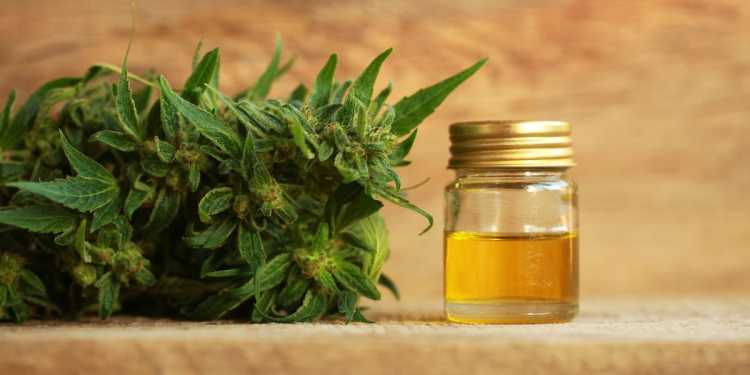 Hawke’s Bay Hospital worker charged over cannabis cake at lunch Hawke’s Bay Hospital worker charged over cannabis cake at lunch