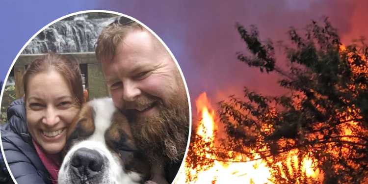 Lyttelton fire: Summit the St Bernard badly burned, devastated couple lose everything Lyttelton fire: Summit the St Bernard badly burned, devastated couple lose everything