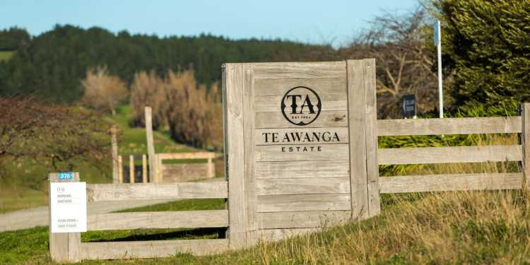 Te Awanga Estate Closes as Wine Festival Ends This Year Te Awanga Estate Closes as Wine Festival Ends This Year