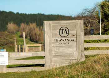 Te Awanga Estate Closes as Wine Festival Ends This Year Te Awanga Estate Closes as Wine Festival Ends This Year
