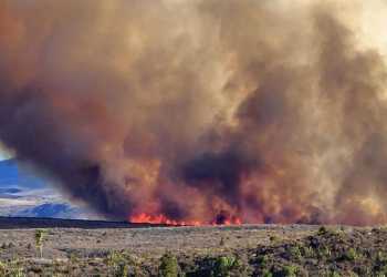 Tongariro National Park Fire: 300 Hectares Affected, Trampers Evacuated Tongariro National Park Fire: 300 Hectares Affected, Trampers Evacuated