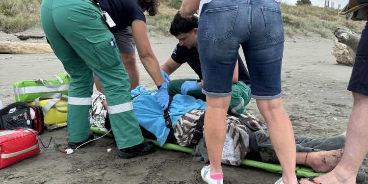 Man Injured by Stingray at Waikanae Beach Man Injured by Stingray at Waikanae Beach