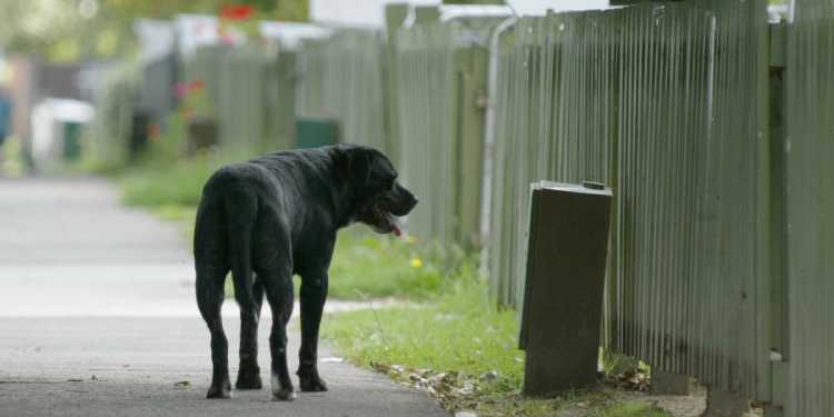 Ōtara Kāinga Ora tenant evicted after repeatedly abusing agency staff Ōtara Kāinga Ora tenant evicted after repeatedly abusing agency staff