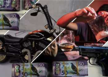 Actions New Zealand Can Take Against Organised Crime Actions New Zealand Can Take Against Organised Crime