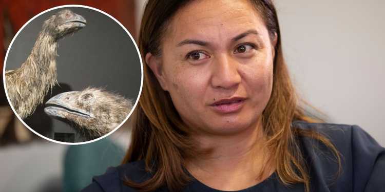 Moa de-extinction plans: Greens react, say money would be better spent saving living species Moa de-extinction plans: Greens react, say money would be better spent saving living species