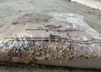 Live Insects Found in Peppermayo Order, Biosecurity Investigation Launched Live Insects Found in Peppermayo Order, Biosecurity Investigation Launched