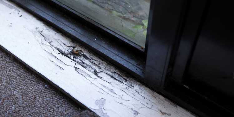 Kāinga Ora Auckland home deemed unfit for living after multiple pleas from tenant Kāinga Ora Auckland home deemed unfit for living after multiple pleas from tenant