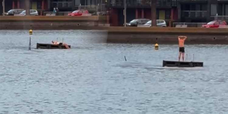 Orca Encounters Swimmer at Oriental Bay, Wellington Orca Encounters Swimmer at Oriental Bay, Wellington