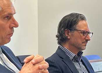 Dog Owner Fined After Seal Attack on Tasman Beach
Owner Loses Appeal to Save Dogs from Euthanasia Dog Owner Fined After Seal Attack on Tasman Beach
Owner Loses Appeal to Save Dogs from Euthanasia