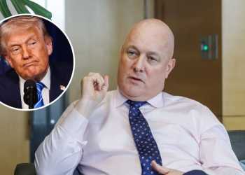 PM Luxon: New Zealand needs support for critical mineral sector PM Luxon: New Zealand needs support for critical mineral sector