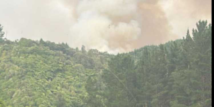 Vegetation fire reported near Parikino, Whanganui Vegetation fire reported near Parikino, Whanganui