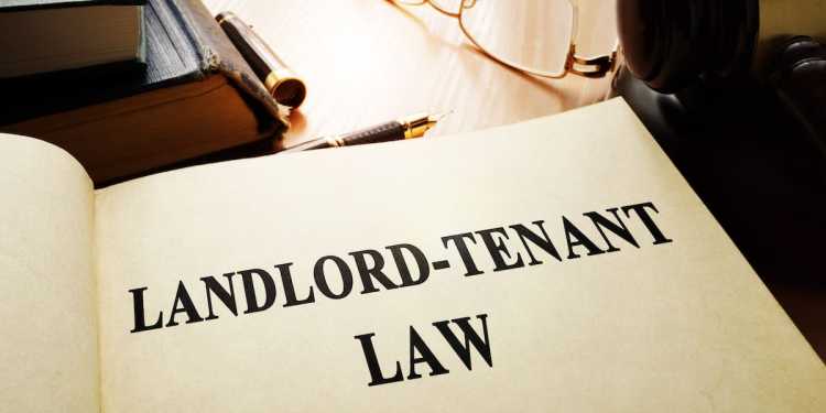 Tenancy Tribunal orders landlord’s widow to pay ex-tenant 00 over unlawful eviction from substandard home Tenancy Tribunal orders landlord’s widow to pay ex-tenant 00 over unlawful eviction from substandard home