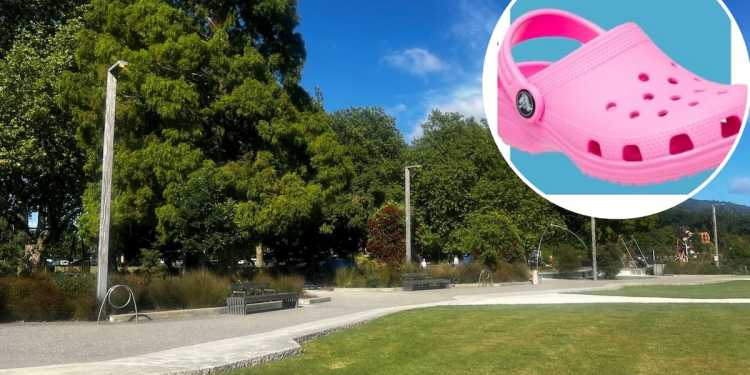 Rotorua Playground Assault: Offender Sentenced to Community Service Rotorua Playground Assault: Offender Sentenced to Community Service