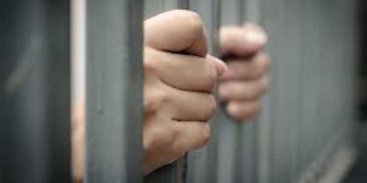 Kiwi murderer David Ngatokotoru Martin to be deported from Australia under 501 law Kiwi murderer David Ngatokotoru Martin to be deported from Australia under 501 law