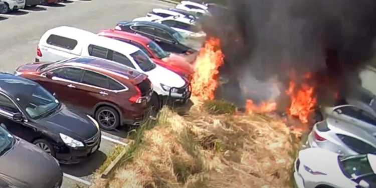 Whangārei Hospital Fire CCTV Footage Shows Fire’s Start Whangārei Hospital Fire CCTV Footage Shows Fire’s Start