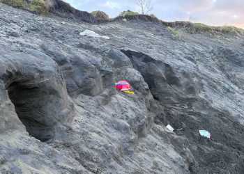 Person critically injured at Muriwai Beach was digging a hole when sand dune collapsed Person critically injured at Muriwai Beach was digging a hole when sand dune collapsed