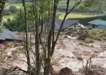 Footage Shows Damage from Pāpāmoa Landslide That Killed Two Footage Shows Damage from Pāpāmoa Landslide That Killed Two