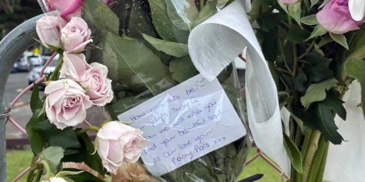 Mount Maunganui Landslide Victims Were Long-Time Friends Mount Maunganui Landslide Victims Were Long-Time Friends