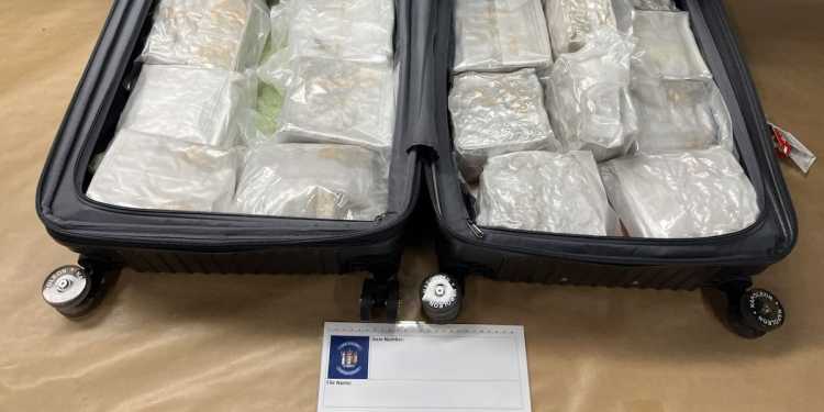 NZ Woman Charged with Smuggling .5M of Meth at Auckland Airport NZ Woman Charged with Smuggling .5M of Meth at Auckland Airport