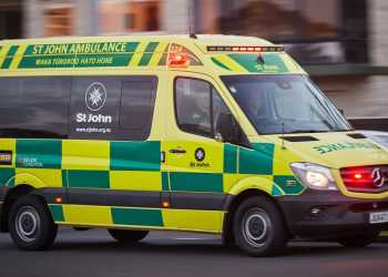 Waikato Man Sentenced for Indecent Assault on Paramedic Waikato Man Sentenced for Indecent Assault on Paramedic