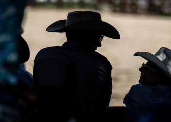 Rodeo Crowd Disperses as Bull Breaks Fence Rodeo Crowd Disperses as Bull Breaks Fence