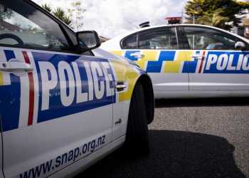 Man Steals Car After Threatening Pensioner with Spear Gun Man Steals Car After Threatening Pensioner with Spear Gun