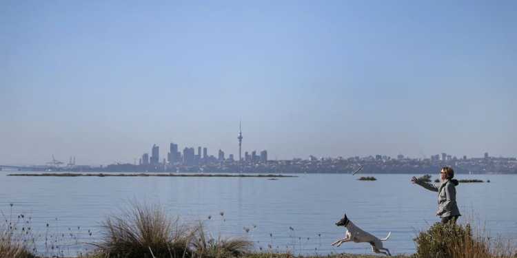 Auckland temperatures expected to reach 6C with snow warnings Auckland temperatures expected to reach 6C with snow warnings