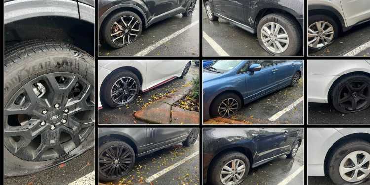 Mystery slasher disables multiple vehicles in Rotorua’s CBD Mystery slasher disables multiple vehicles in Rotorua’s CBD