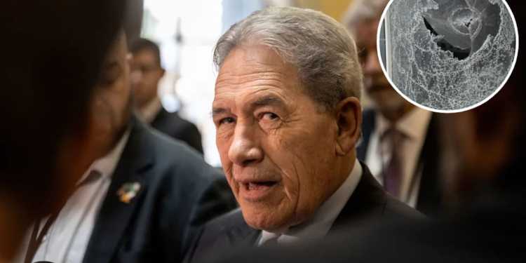 Winston Peters reports alleged window attack on his home Winston Peters reports alleged window attack on his home